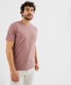 16PONAC rose